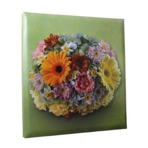 Nova 30 Sheets Auto Stick Album for organized photo storage.